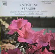 Strauß - 4 Sträusse Strauss