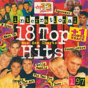 Enigma - 18 Top Hits Aus Den Charts 1/97