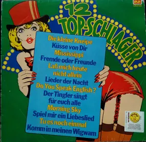 Various Artists - 12 Top-Schlager