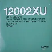 Silkworm, Spoon, Chris Brokaw a.o. - 12002xu