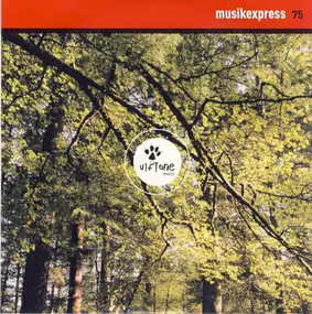 David Poe - Musikexpress 75 - UlfTone Music