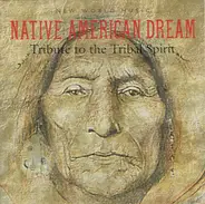 Medwyn Goodall / Moonstone  a.o. - Native American Dream - Tribute To The Tribal Spirit