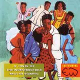 Various Artists - A Taste Of The Indestructible Beat Of Soweto