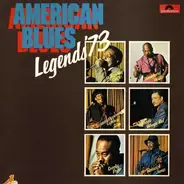 Lightnin' Slim, Washboard Willie, Homesick James - American Blues Legends '73