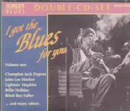 Muddy Waters / Steve Ray / Johnny Winter / ... - I Got The Blues For You Vol. 1