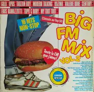 Opus / Gold / a.o. - Big FM Mix Volume 2