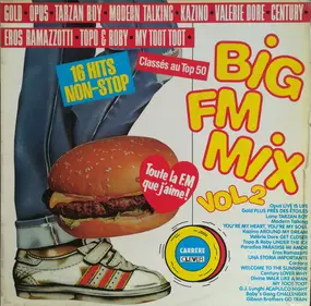 The Opus - Big FM Mix Volume 2