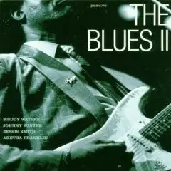 Muddy Waters - Blues 2