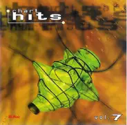 Blümchen, Funky 9ers, a.o. - Chart Hits Vol. 7 1998