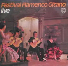 Paco de Lucía - Festival Flamenco Gitano Live