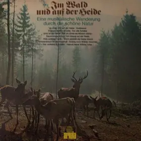 Heinz Schachtner - Im Wald Und Auf Der Heide, Eine Musikalische Wanderung Durch Die Schöne Natur