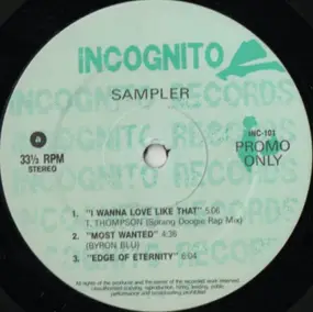 Stevie Wonder - Incognito Sampler