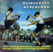 Annemarie Brandstädter / Louis Panzl / a.o. - Klingendes Alpenland