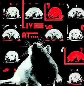 Susan - Live At The Rat