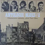 Various / Paul Oliver - Antologie Blues / 2