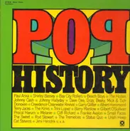 Paul Anka, Shirley Bassey, Beach Boys,.. - Pop History
