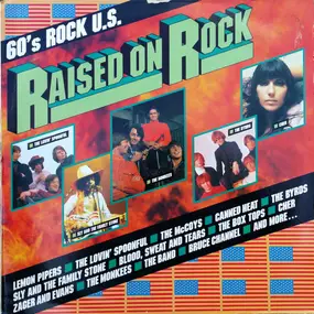 Various Artists - Raised On Rock: 60's Rock U.S.