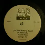 Unknown - R&B Jams Vol.1