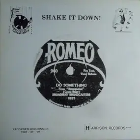 Various Artists - Shake It Down