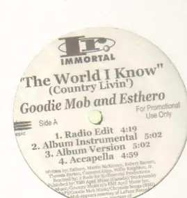 Goodie Mob - The World I Know/Sellin' D.O.P.E.