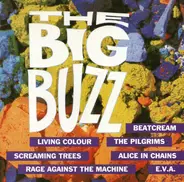 Rage Against The Machine / Alice In Chains / Soul Asylum a.o. - The Big Buzz