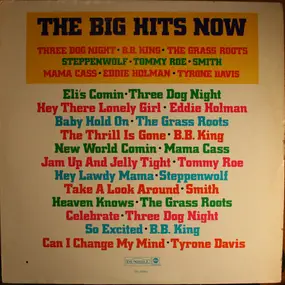 Various Artists - The Big Hits Now