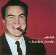 Various - Wakefield. The TeenBeat Story/Vol. 1/1992-1994/A TeenBeat Sampler.