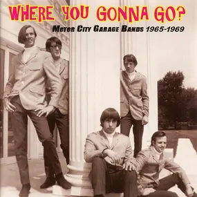 The Boys - Where You Gonna Go? (Motor City Garage Bands 1965-1969)