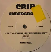 Hip Hop Sampler - Why You Wanna Keep Me From My Baby / Say My Name / I Don't Wanna / You Came Along