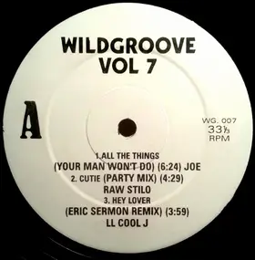 Various Artists - Wildgroove Vol 7