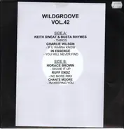 Wildgroove Vol. 42 - Wildgroove Vol. 42