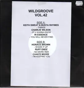 Various Artists - Wildgroove Vol. 42
