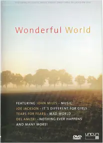 Joe Jackson - Wonderful World