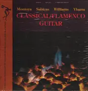 Various - Classical/Flamenco Guitar