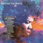 Sting, Brian May, Carlos Santana a.o. - In From The Storm - The Music Of Jimi Hendrix
