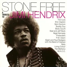 Various Artists - Stone Free (A Tribute To Jimi Hendrix)