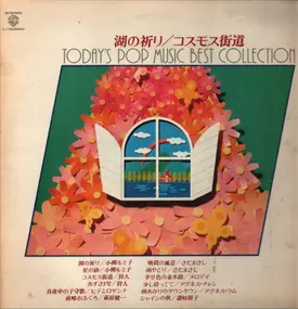 Rumiko Koyanagi - Today's Pop Music Best Collection
