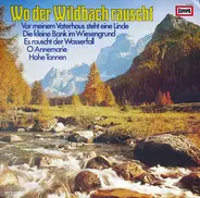 Rudi Schuricke/Wolfgang Meininger a.o. - Wo Der Wildbach Rauscht