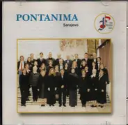 Vinaver / Schubert / Bruckner / Mozart a.o. - Pontanima, The Mystery of Peace CD1