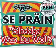 Vitamin B Featuring Se Präin - "Sladdgo - Was Du Woll?"