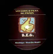 Vitamin B Featuring Se Präin - Sladdgo - Was Du Woll?