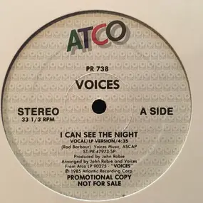 voices - I Can See The Night