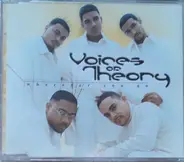 Voices Of Theory - Where You Go