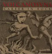 Volcano Suns - Career in Rock