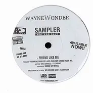 Wayne Wonder - Friend Like Me / Enemies