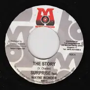 Wayne Wonder / Surprise feat. Wayne Wonder - Oh Baby / The Story