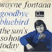 Wayne Fontana - Goodbye Bluebird