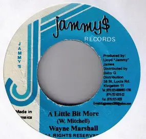 Wayne Marshall - A Little Bit More