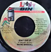 Wayne Marshall - Don't Give Up