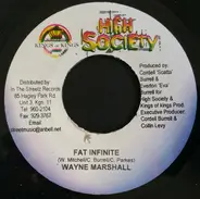 Wayne Marshall - Fat Infinite